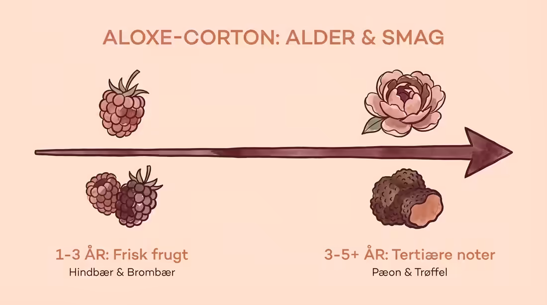 Smagsskala for Aloxe-Corton der viser udviklingen fra unge bærnoter til modne dufte af trøffel.