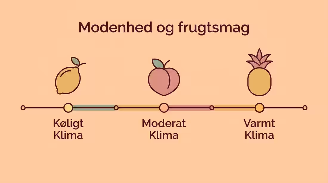 Smagsskala der viser chardonnays udvikling fra citrus til tropisk frugt.