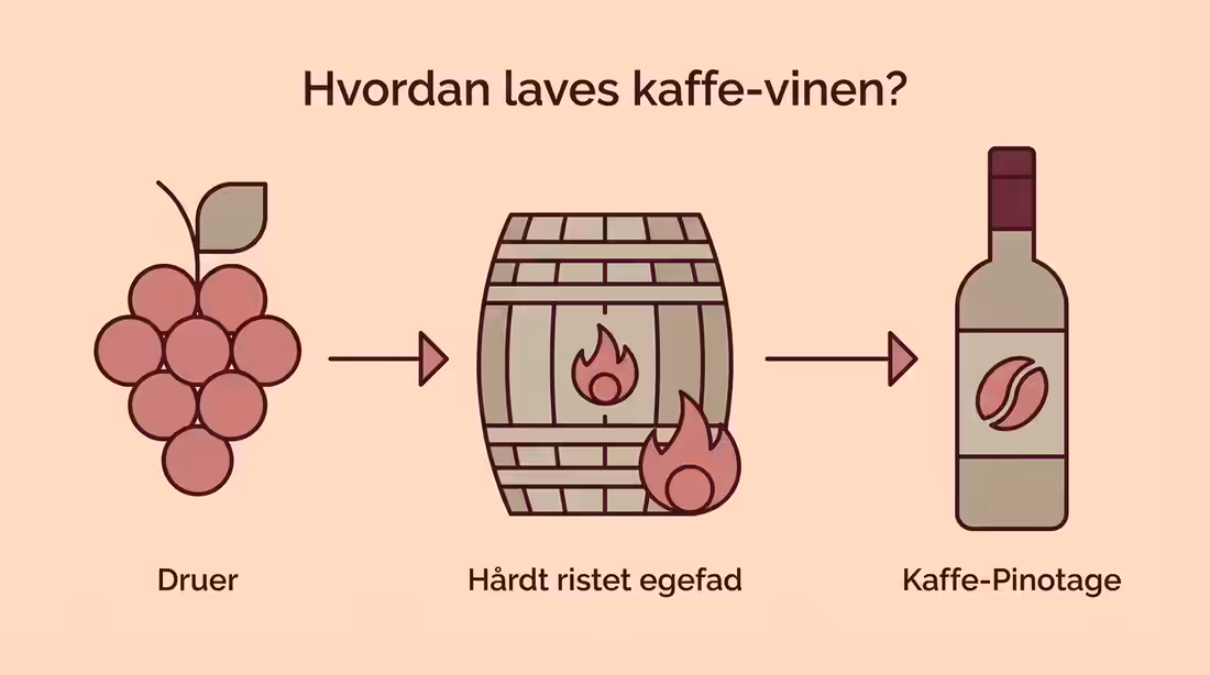 Procesdiagram der viser hvordan druer og ristede egefade skaber kaffe-vin.