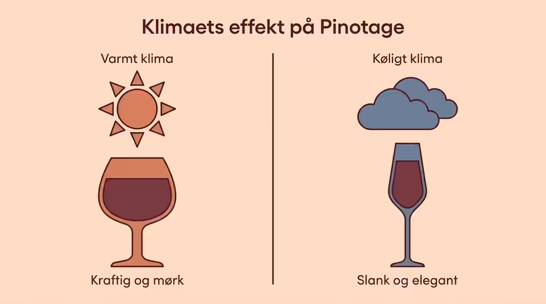 Sammenligning af Pinotage fra varme og kølige klimaer.
