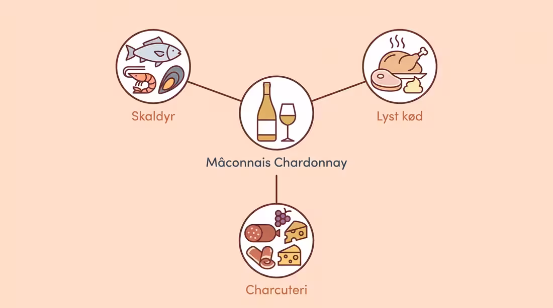 Infografik med Mâconnais Chardonnay og tre madparringer