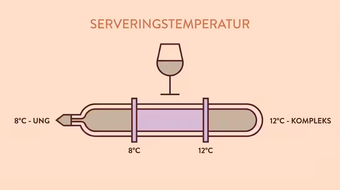 Termometer-infografik der viser den ideelle serveringstemperatur fra 8 til 12 grader.