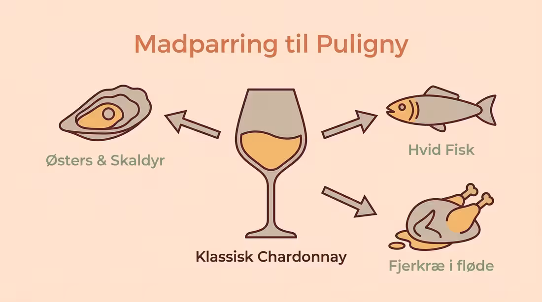 Madparringsdiagram for Puligny-Montrachet med østers, hvid fisk og fjerkræ.