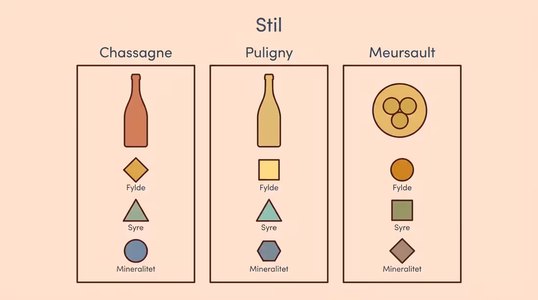 Sammenligning af Chassagne, Puligny og Meursault i enkel infografik