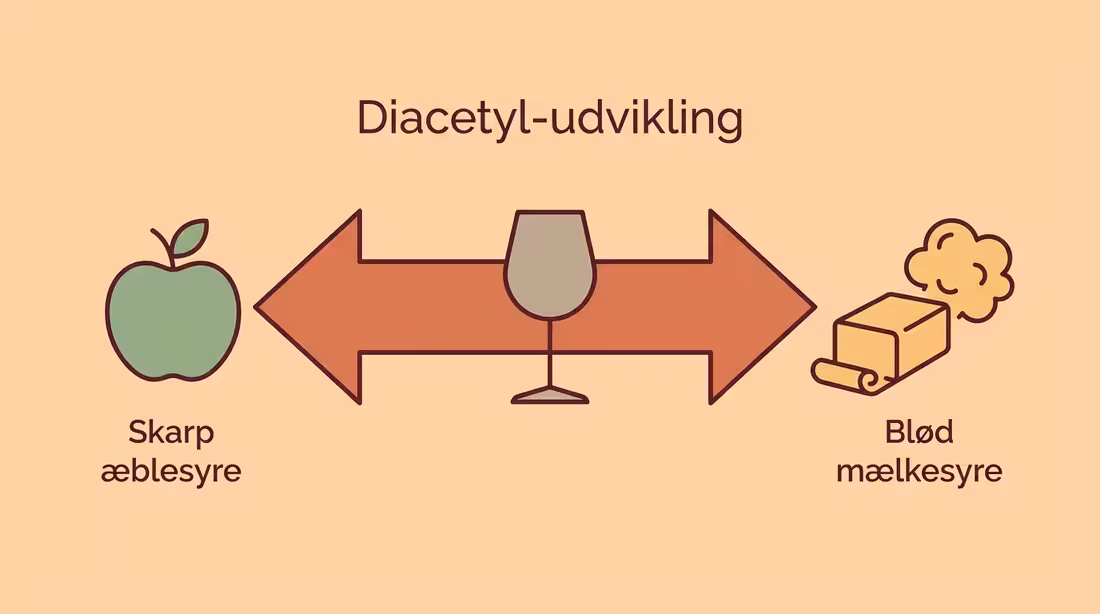 Smagsskala for hvidvin der viser udviklingen fra skarp æblesyre til blød mælkesyre og diacetyl.