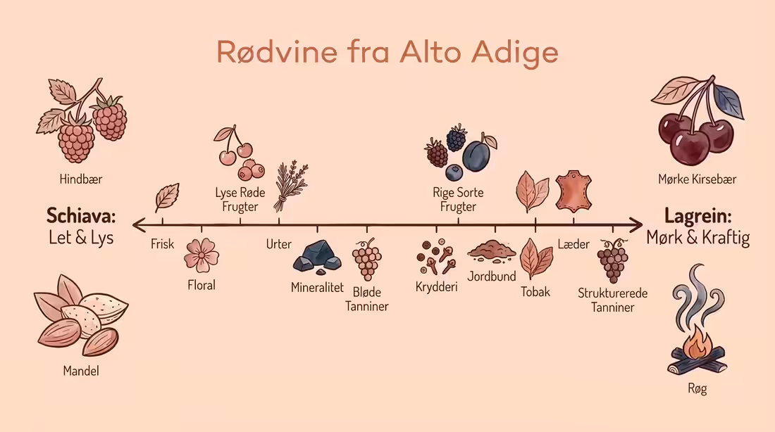 Smagsskala der viser forskellen i krop og aroma på rødvinene Schiava og Lagrein.