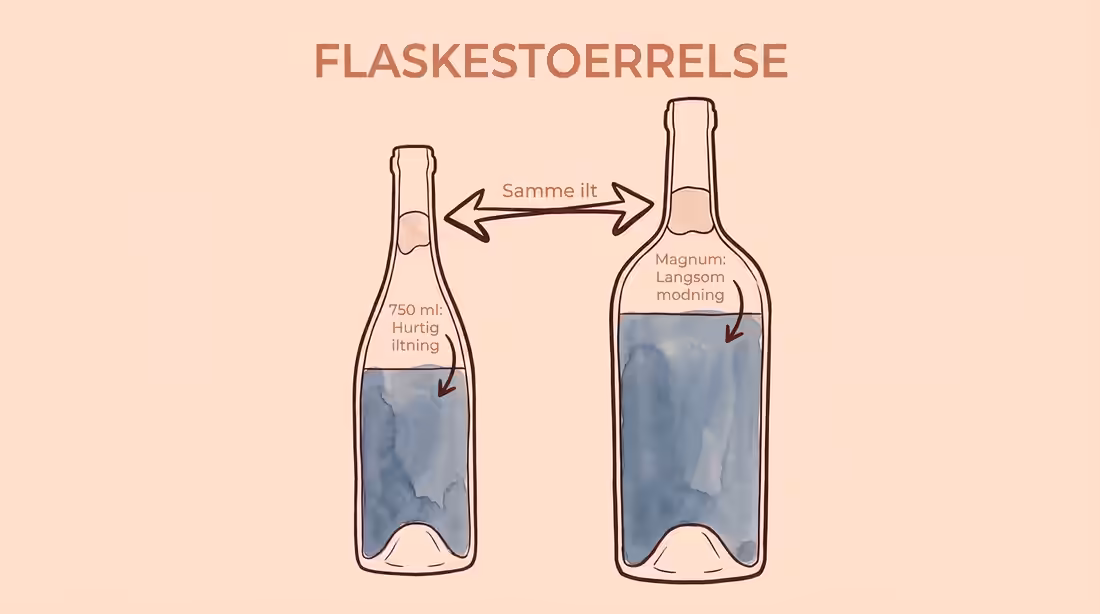 Sammenligning af standardflaske og magnumflaske, der viser forskellen i påvirkning fra ilt.