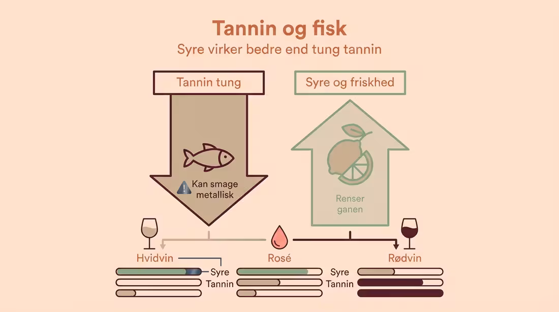 Infografik om tannin, syre og hvorfor nogle vine passer bedre til laks
