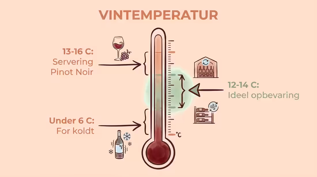 Illustration af et termometer der viser ideelle temperaturer for opbevaring og servering af vin.
